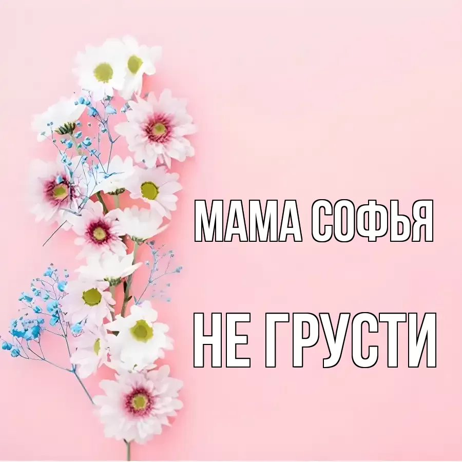 ОТКРЫТКА МАМА-СОФЬЯ