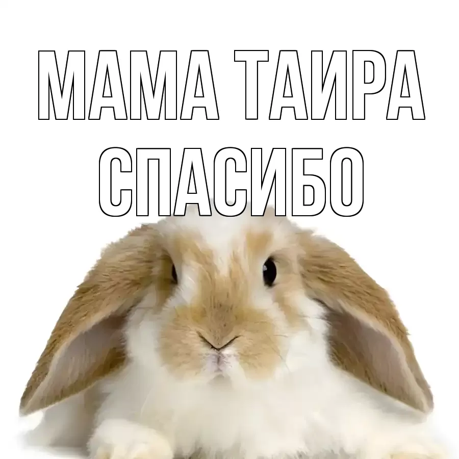 ОТКРЫТКА МАМА-ТАИРА