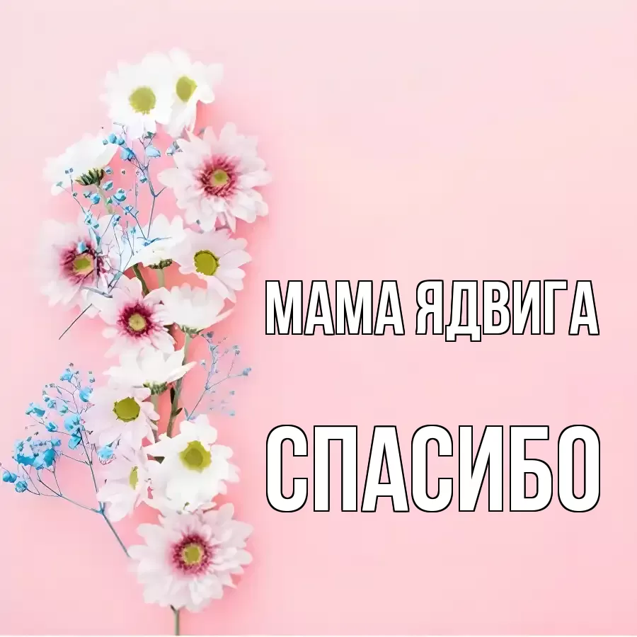 ОТКРЫТКА МАМА-ЯДВИГА