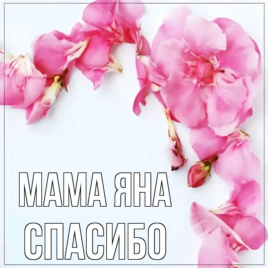 ОТКРЫТКА МАМА-ЯНА