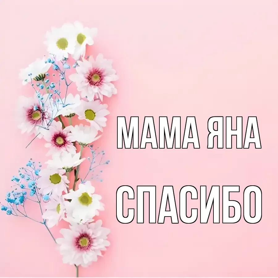 ОТКРЫТКА МАМА-ЯНА