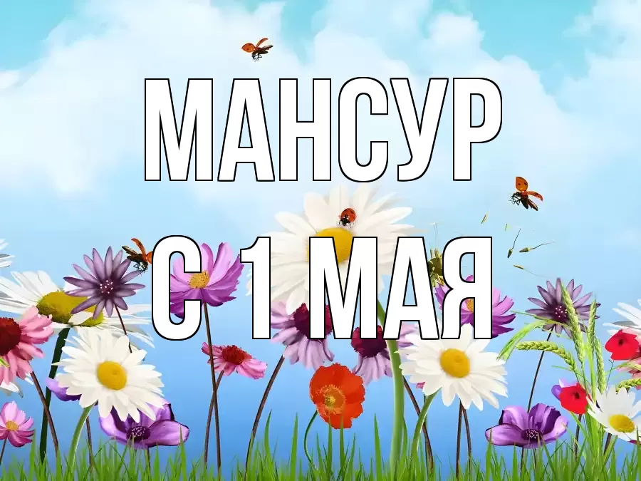 С 1 МАЯ МАНСУР