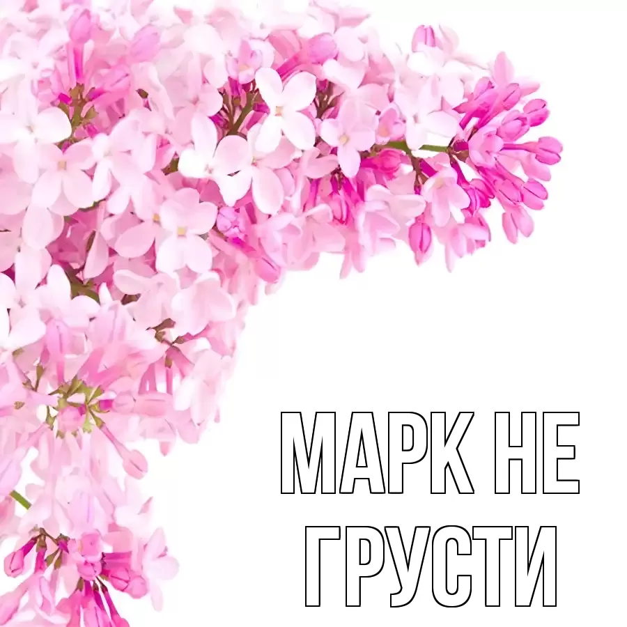 ОТКРЫТКА МАРК