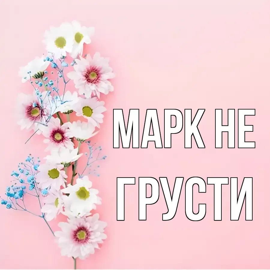 ОТКРЫТКА МАРК