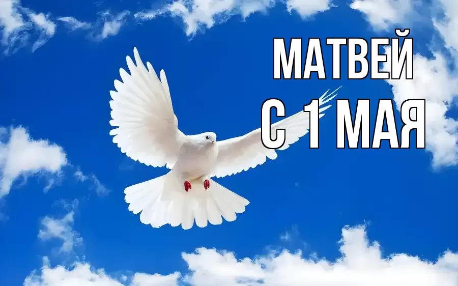 С 1 МАЯ МАТВЕЙ