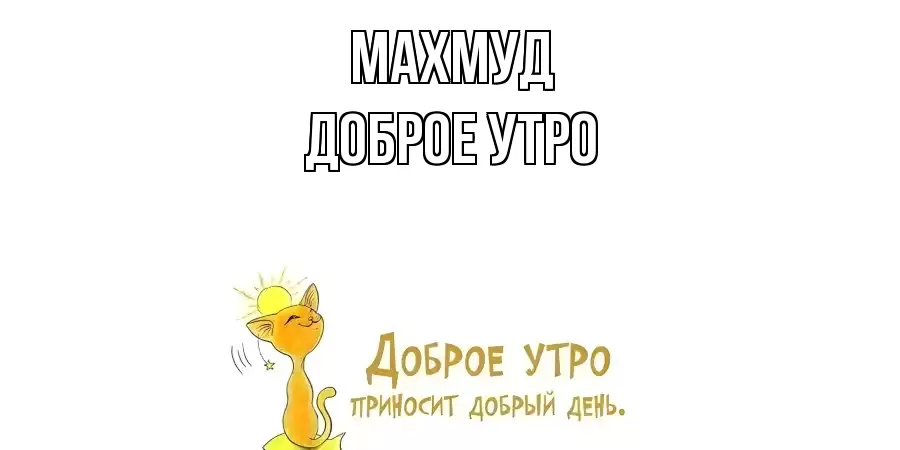 ДОБРОЕ УТРО МАХМУД
