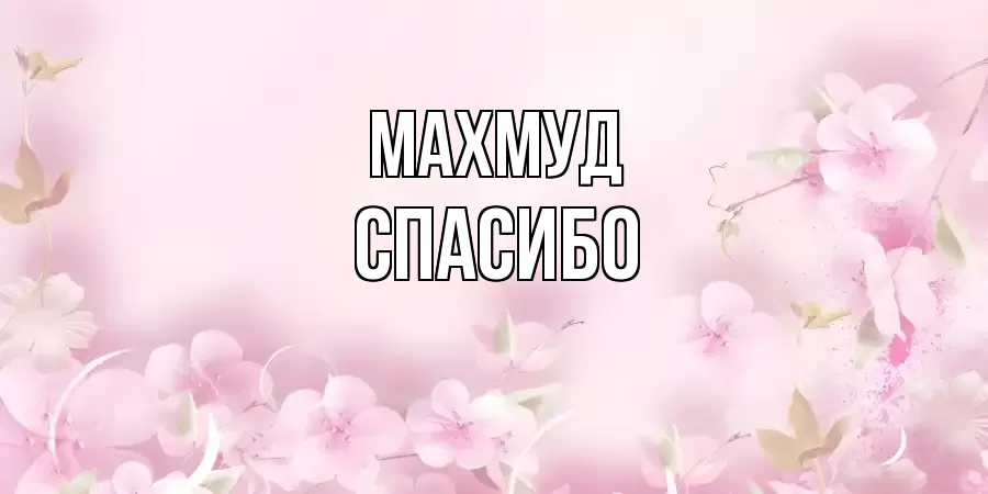 ОТКРЫТКА МАХМУД