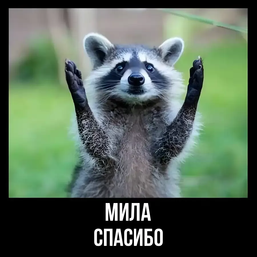 ОТКРЫТКА МИЛА