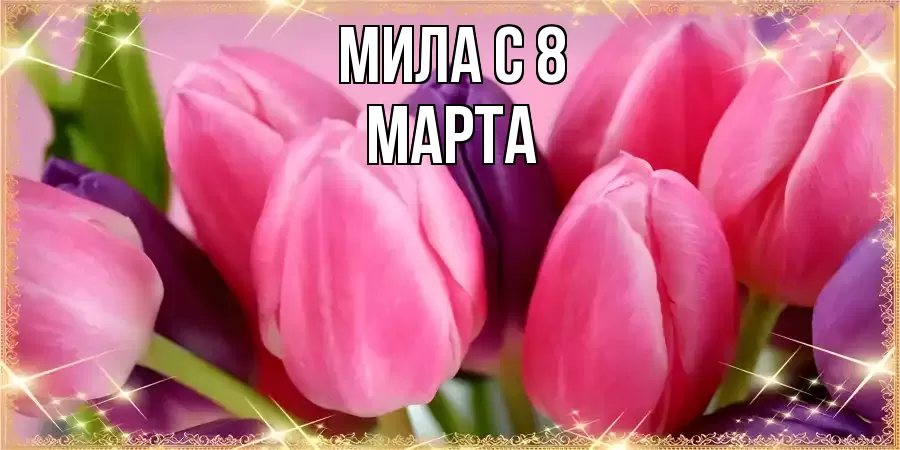 ОТКРЫТКА МИЛА