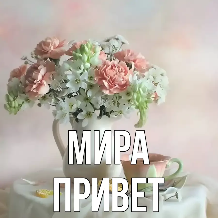ОТКРЫТКА МИРА