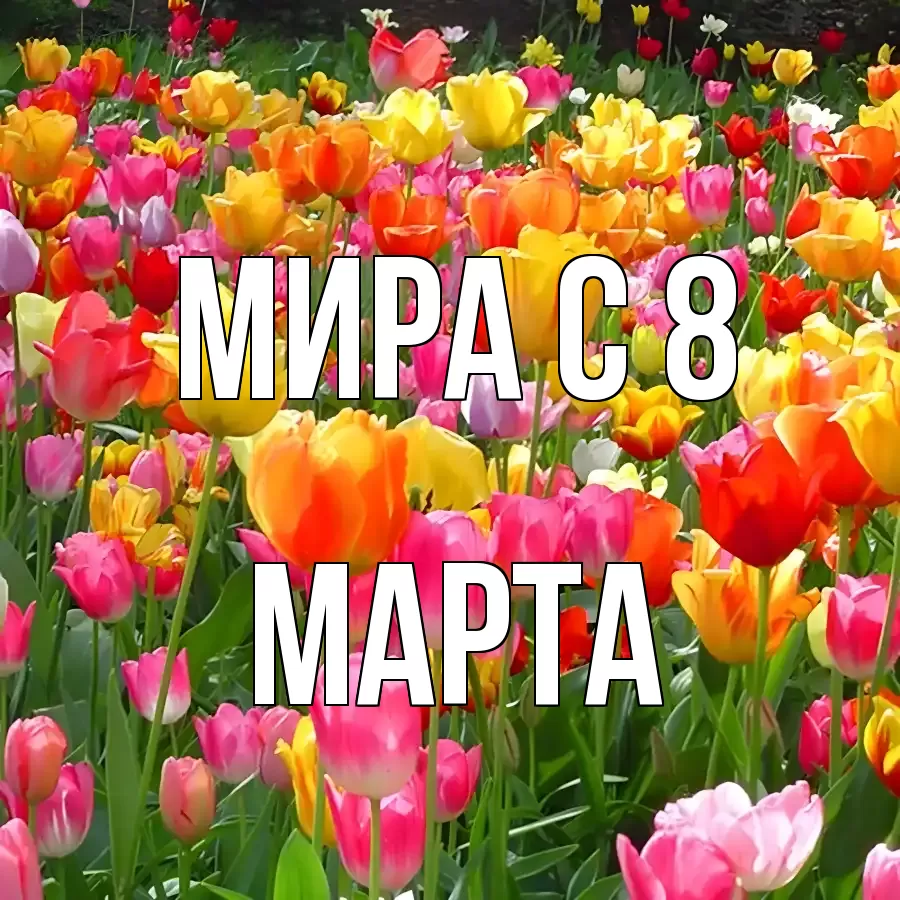 ОТКРЫТКА МИРА