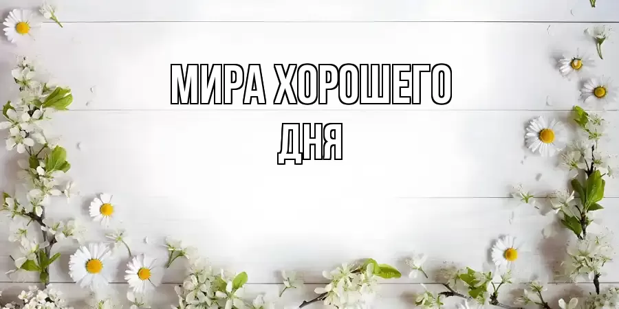ОТКРЫТКА МИРА