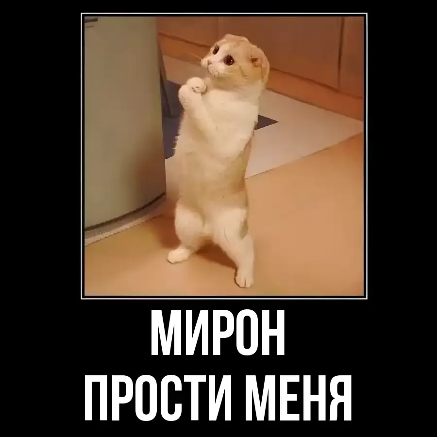 ПРОСТИ МЕНЯ МИРОН