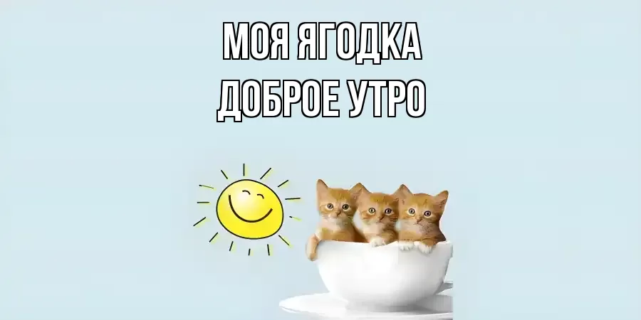 ДОБРОЕ УТРО МОЯ ЯГОДКА