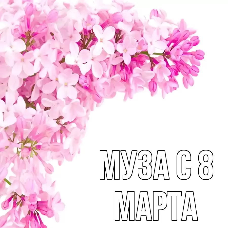 ОТКРЫТКА МУЗА