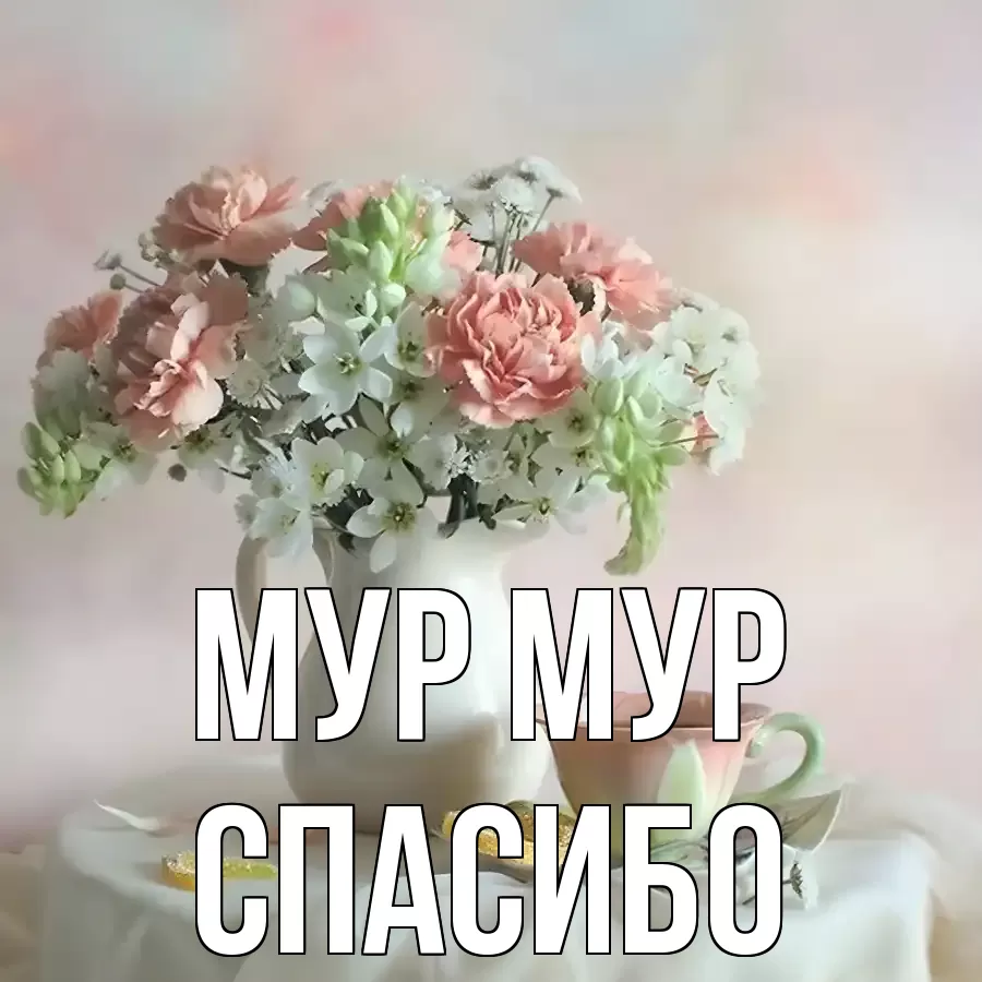ОТКРЫТКА МУР МУР