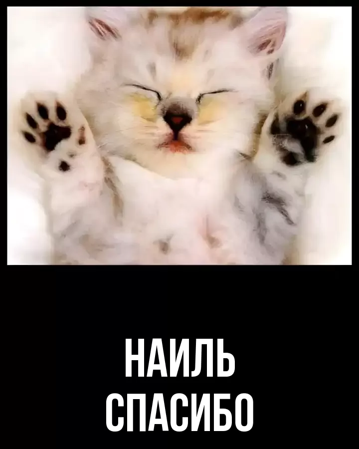 ОТКРЫТКА НАИЛЬ