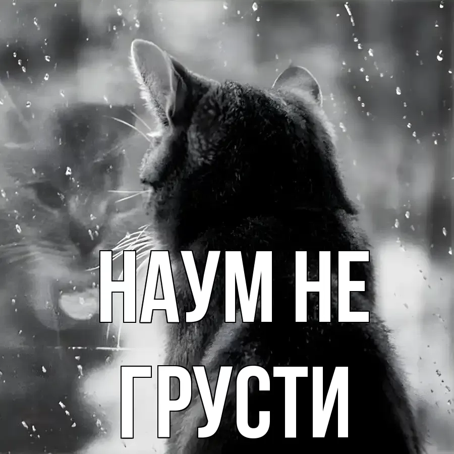 ОТКРЫТКА НАУМ