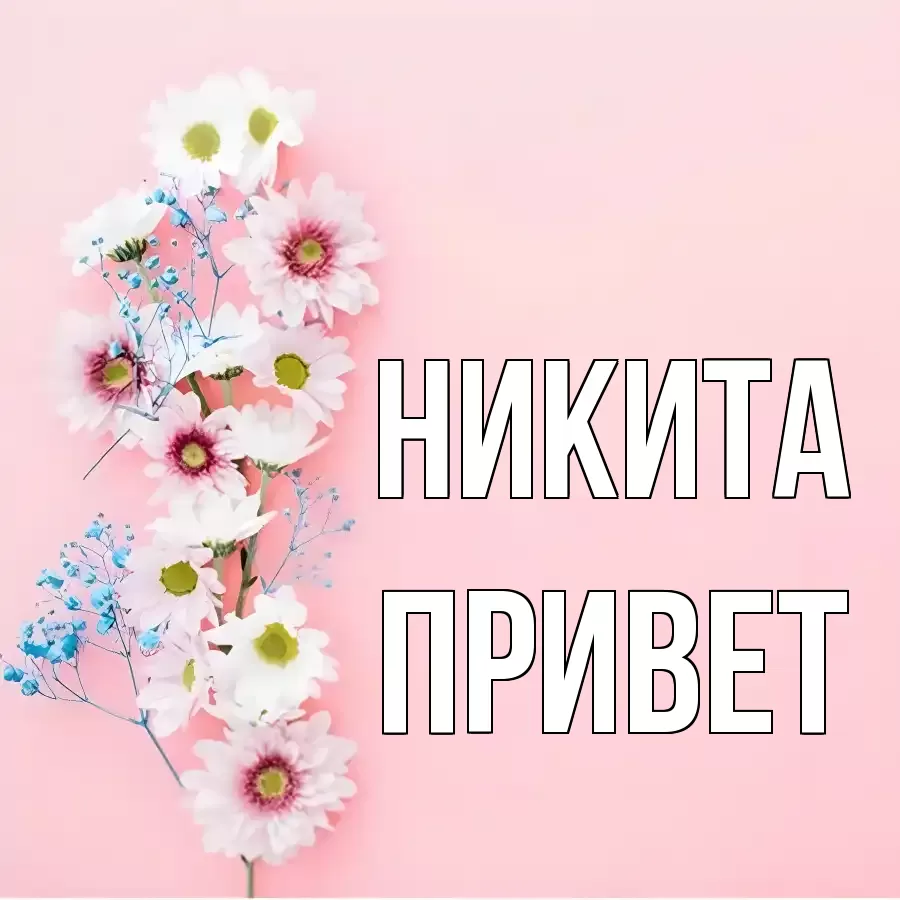 ОТКРЫТКА НИКИТА
