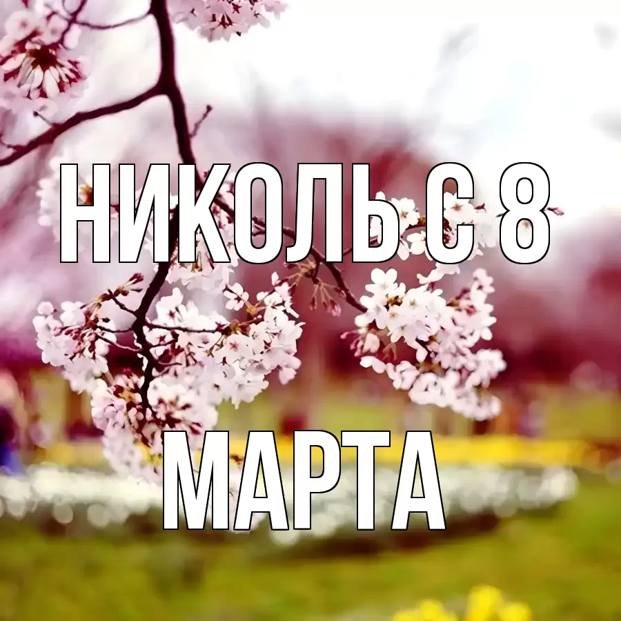 ОТКРЫТКА НИКОЛЬ