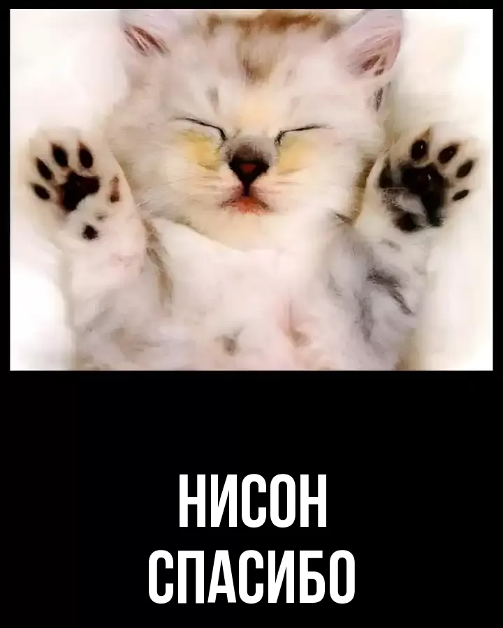 ОТКРЫТКА НИСОН