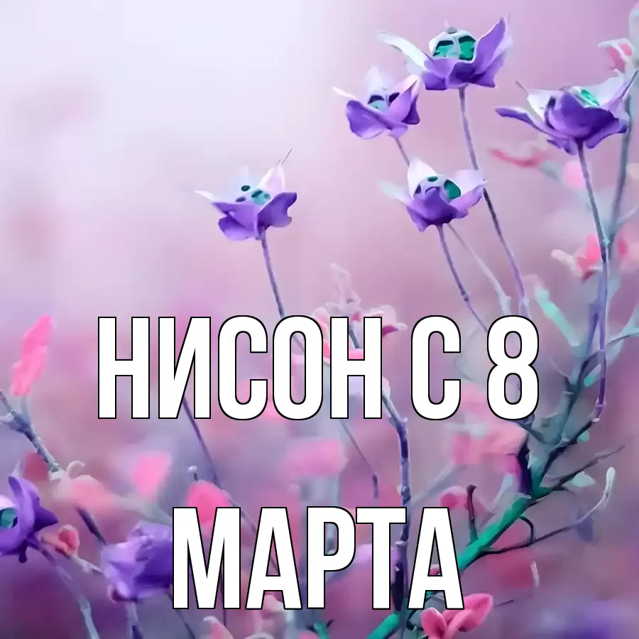 ОТКРЫТКА НИСОН