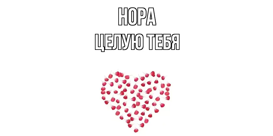 ЦЕЛУЮ ТЕБЯ НОРА