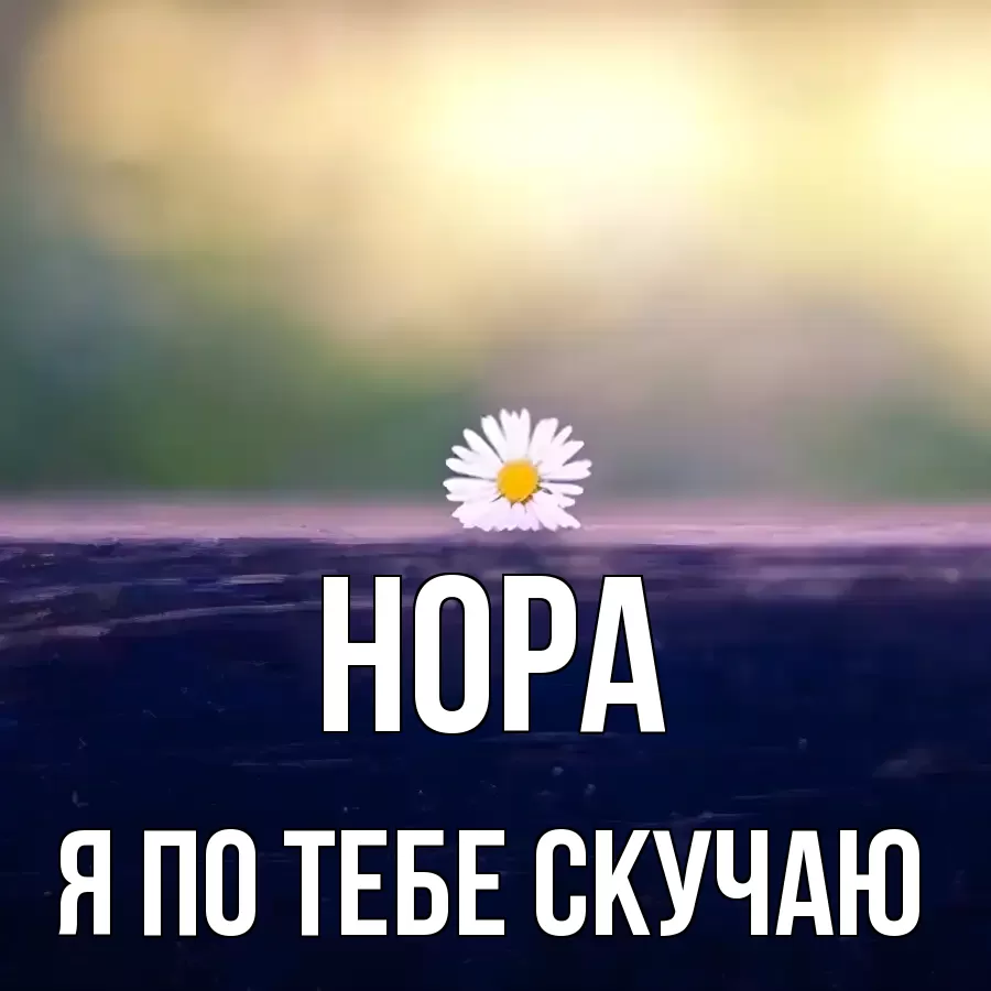НОРА Я ПО ТЕБЕ СКУЧАЮ
