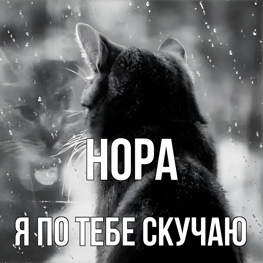 НОРА Я ПО ТЕБЕ СКУЧАЮ