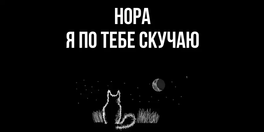 НОРА Я ПО ТЕБЕ СКУЧАЮ