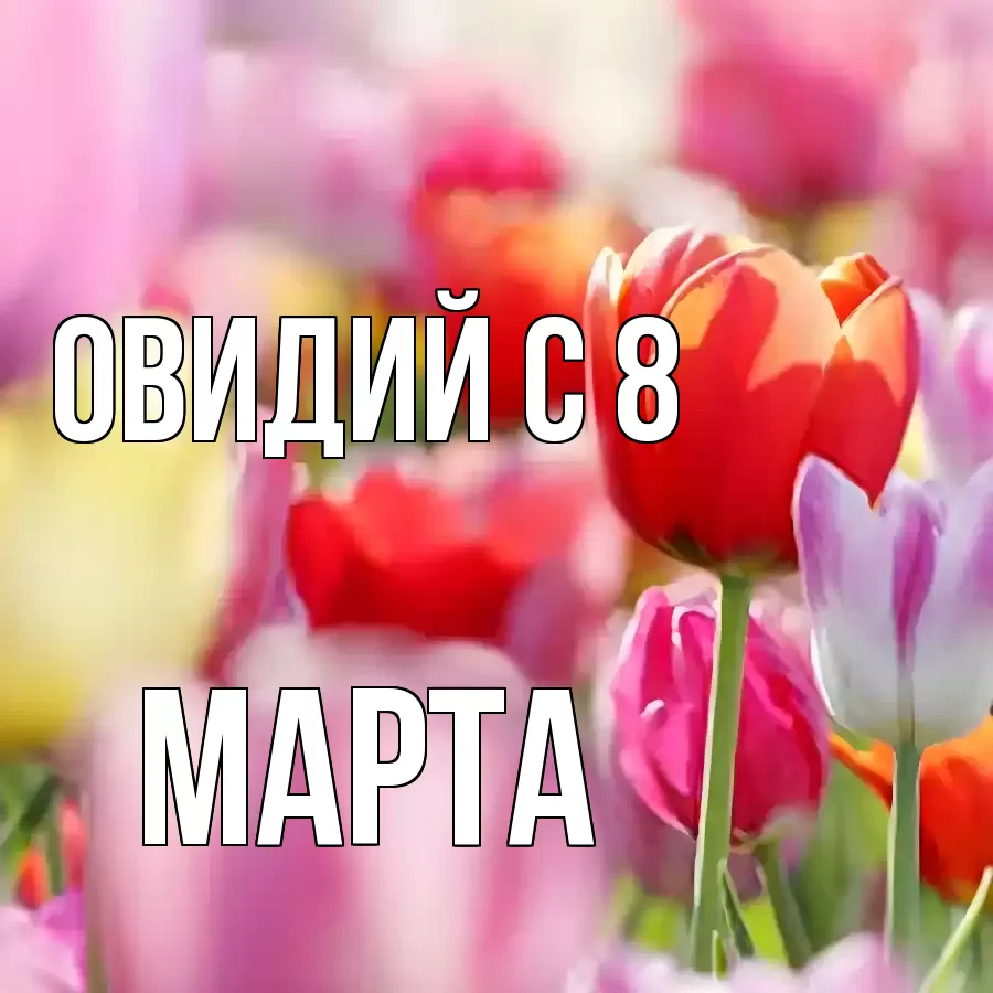 ОТКРЫТКА ОВИДИЙ