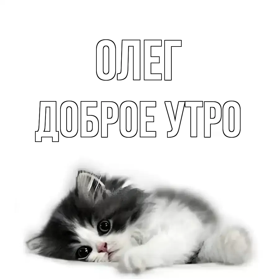 ДОБРОЕ УТРО ОЛЕГ