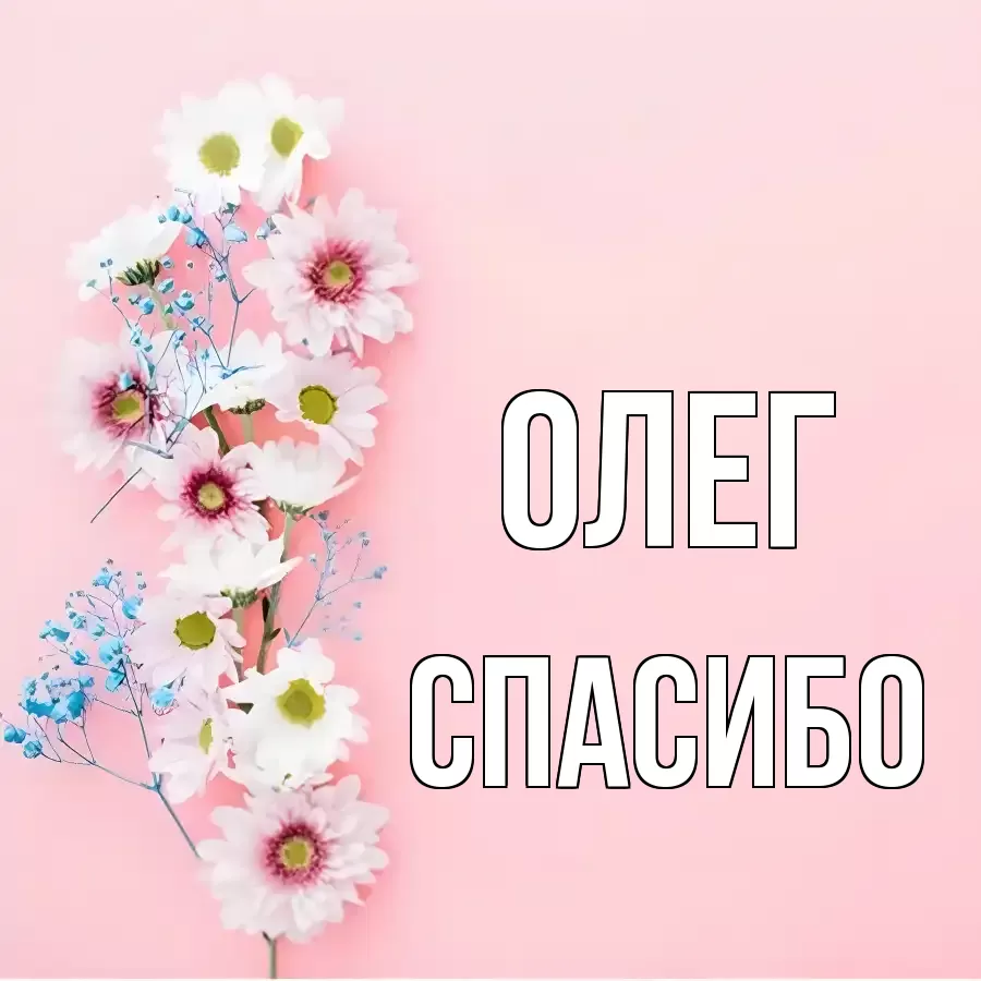 ОТКРЫТКА ОЛЕГ
