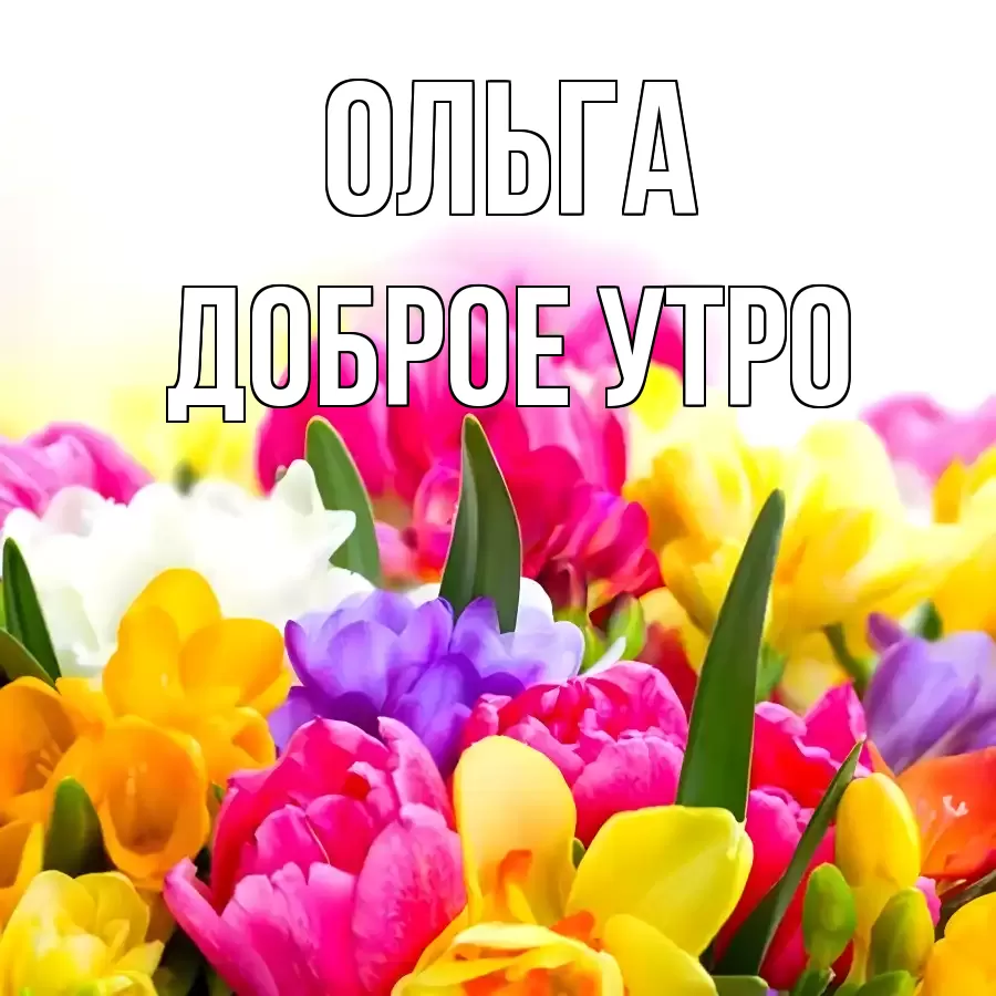 ДОБРОЕ УТРО ОЛЬГА