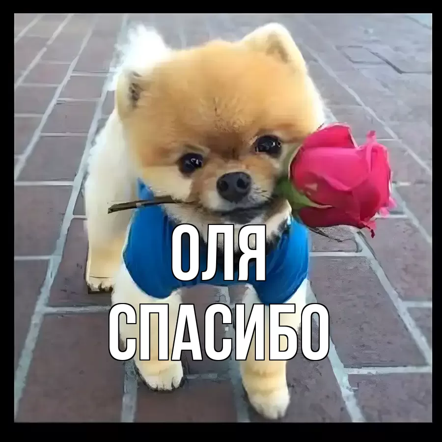 ОТКРЫТКА ОЛЯ