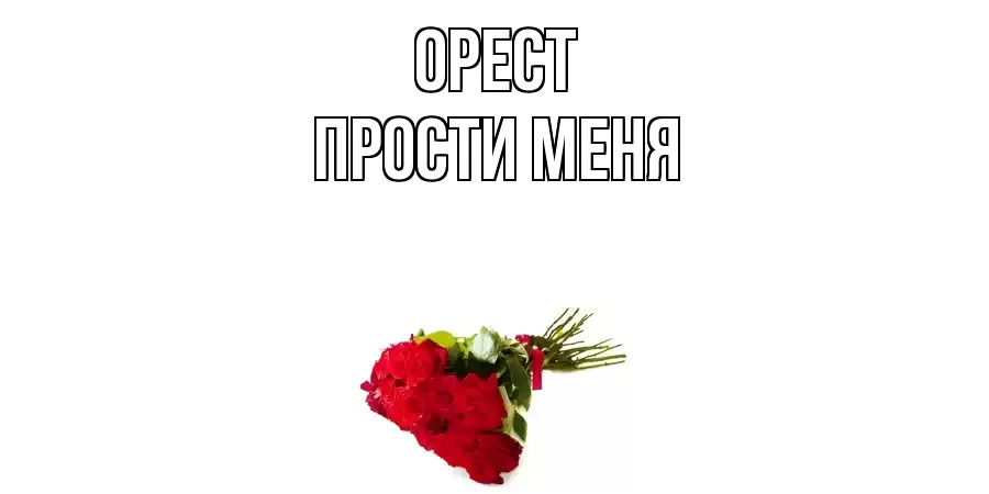 ПРОСТИ МЕНЯ ОРЕСТ