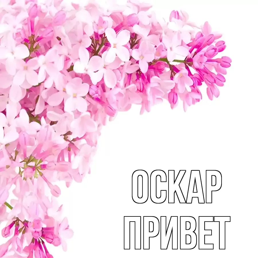 ОТКРЫТКА ОСКАР