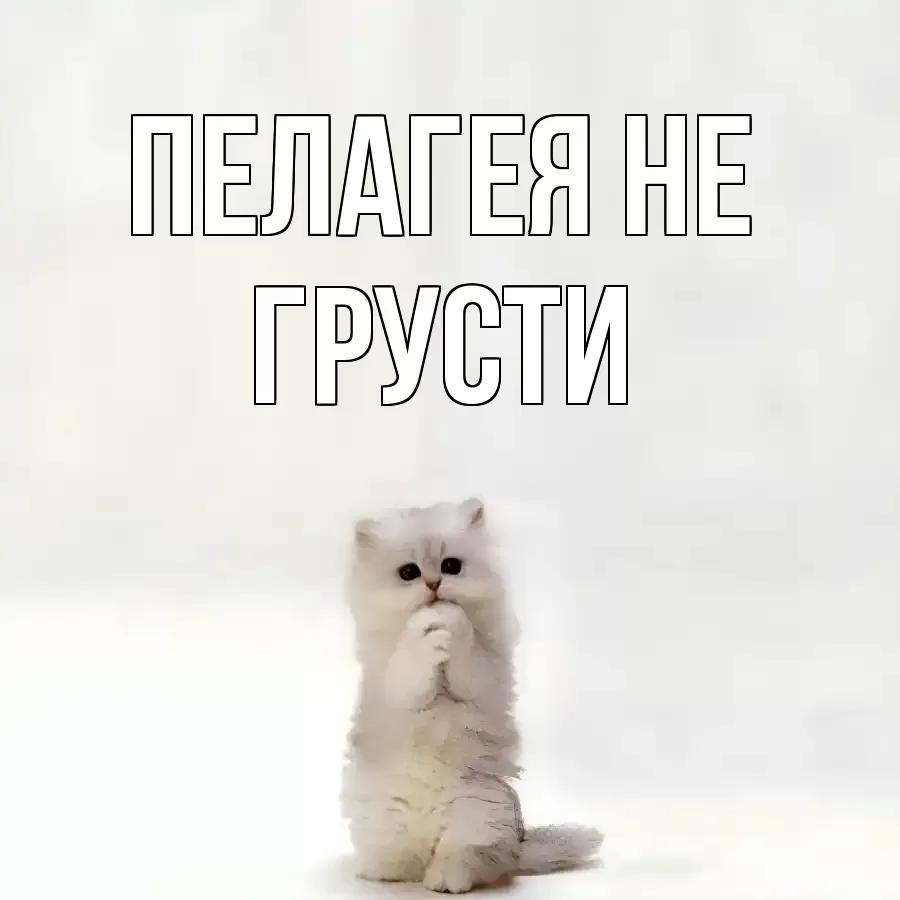 ОТКРЫТКА ПЕЛАГЕЯ