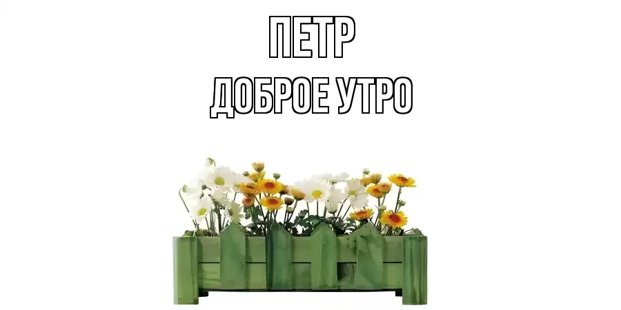 ДОБРОЕ УТРО ПЕТР