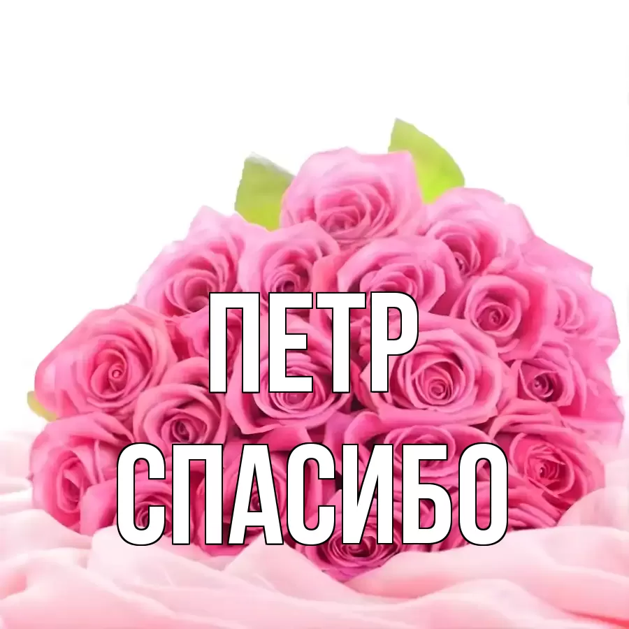 ОТКРЫТКА ПЕТР