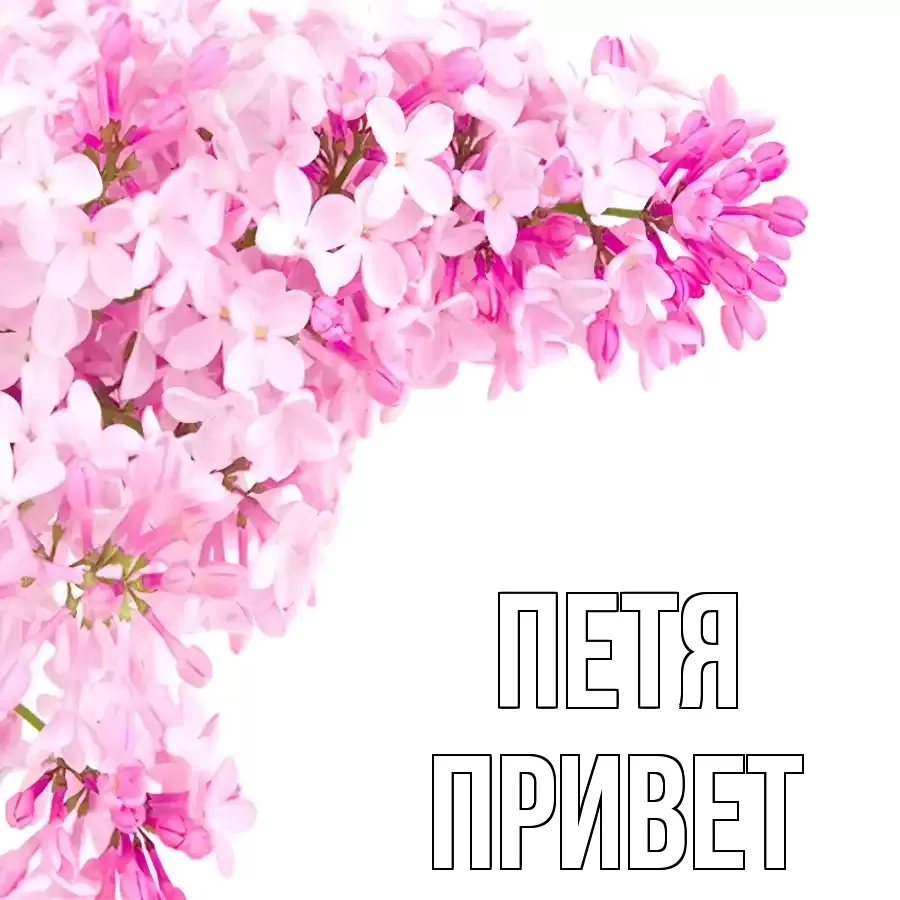 ОТКРЫТКА ПЕТЯ