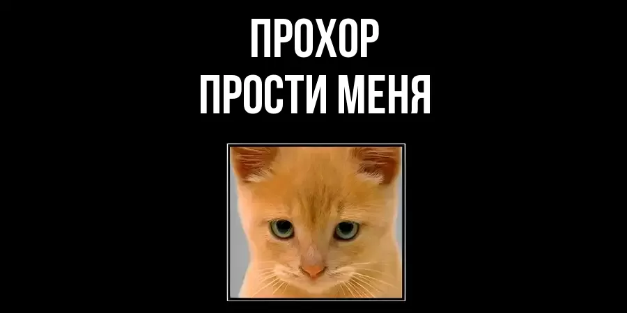 ПРОСТИ МЕНЯ ПРОХОР