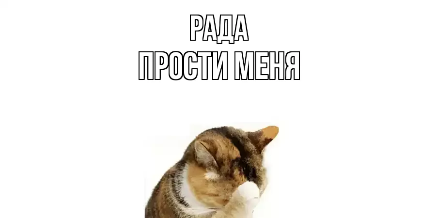 ПРОСТИ МЕНЯ РАДА