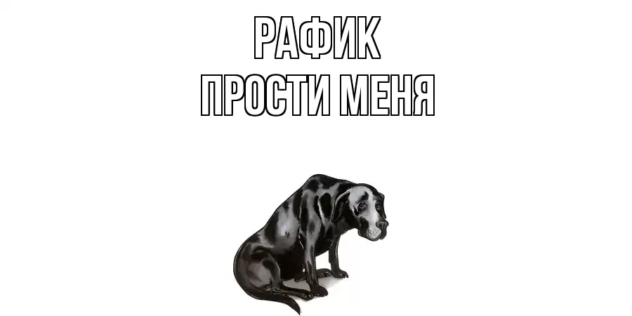 ПРОСТИ МЕНЯ РАФИК