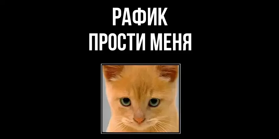 ПРОСТИ МЕНЯ РАФИК