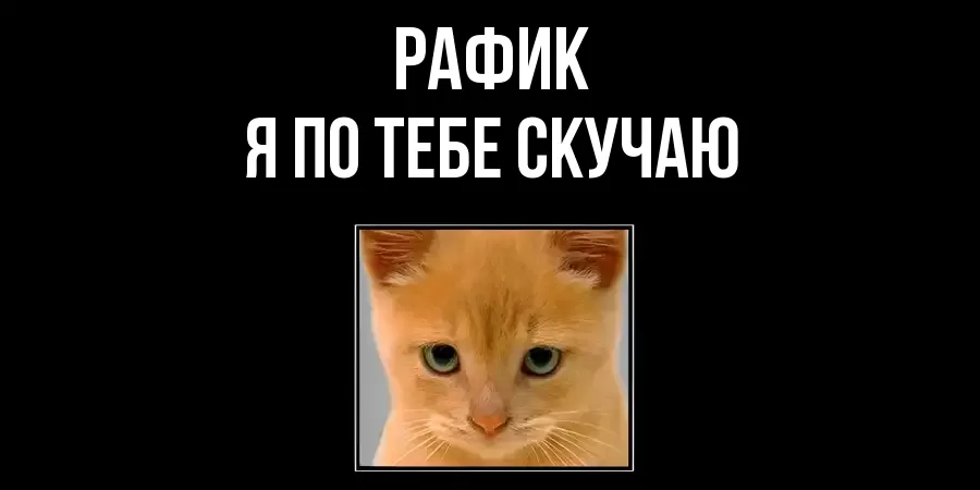 РАФИК Я ПО ТЕБЕ СКУЧАЮ