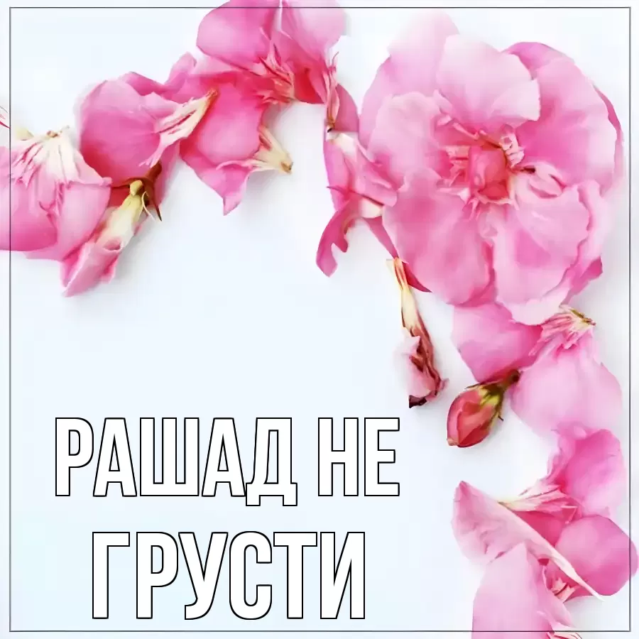 ОТКРЫТКА РАШАД