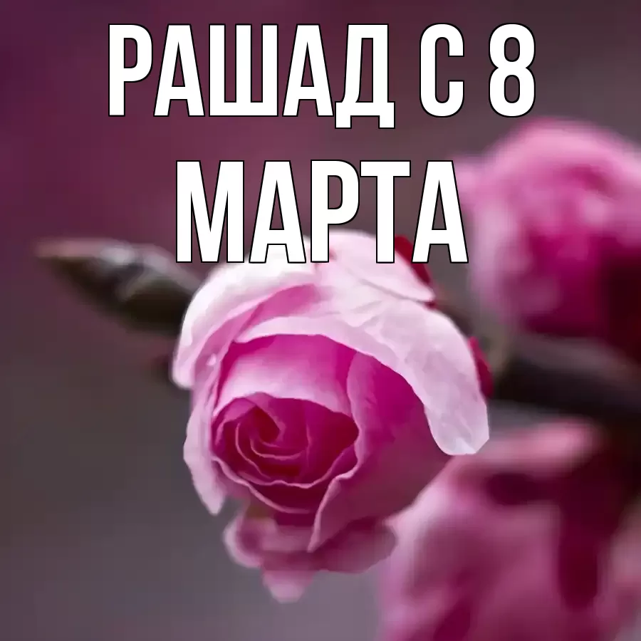 ОТКРЫТКА РАШАД