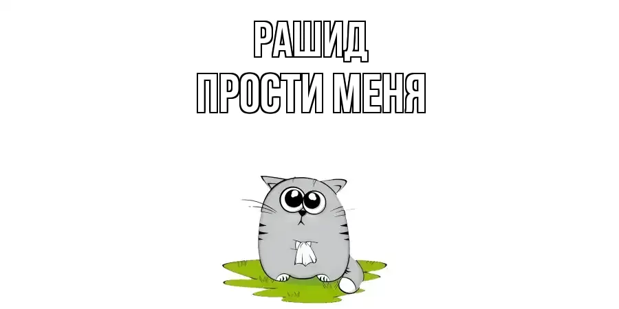 ПРОСТИ МЕНЯ РАШИД