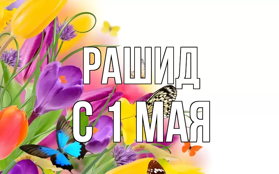 С 1 МАЯ РАШИД